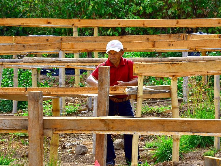 ein Arbeiter einer guatemaltekischen Kooperative bei der Arbeit an den Trockenanlagen