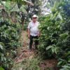 Ein Farmer steht auf seiner Kaffeeplantage in Honduras neben Arabica Kaffeepflanzen.